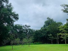 -广州市白云山风景名胜区