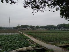 -米岗农庄
