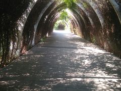 -天津东丽湖风景区