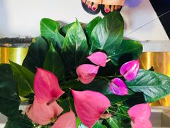 -南京时尚莱迪购物广场(正洪街店)