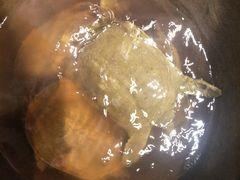 地锅野生甲鱼-百味地锅鸡(二店·财校分店)