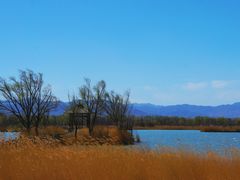 -野鸭湖国家湿地公园