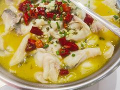 -刘胖子家常菜·蹄花焖藕(中南店)