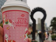 -茶屿水果茶(太古里店)