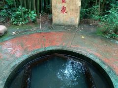 -大屏嶂森林公园
