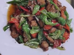 -煲来饱去冷水鱼