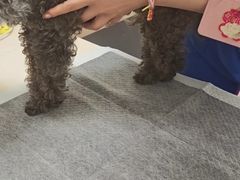 -全心全意动物诊疗中心医院(北苑店)