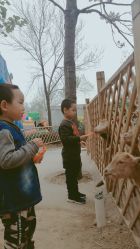 -萌宠亲子动物乐园(槐房万达店)