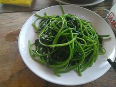 -鲤鱼塘农家山庄