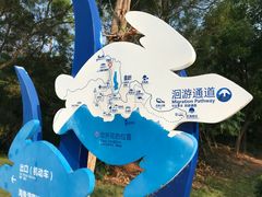 -广东惠东海龟国家级自然保护区