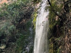 -莫里热带雨林景区