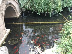 -苏州吴宫泛太平洋酒店