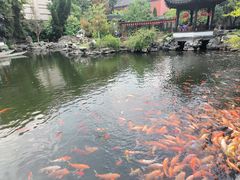 -孔氏南宗家庙