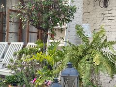-Jo's Garden