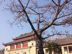 -厦门大学(思明校区)
