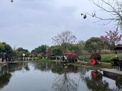 -洪湖家庭农场·团建·露营·会议