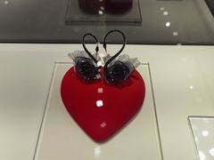 -BLACKSWAN黑天鹅(环球店)