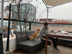 -素心小筑(后沙裕镇店)