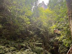 -鹿院坪生态旅游景区