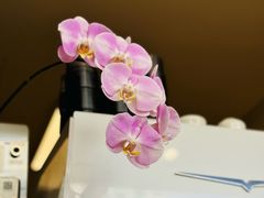 -本無咖啡·BeanWood Coffee