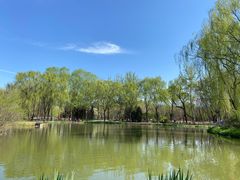 -将府公园