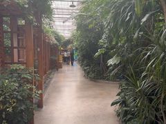 -金稼园·金平湖农家菜