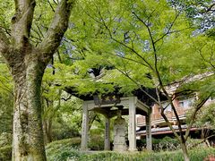 -杭州花家山庄