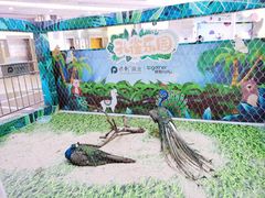 -保利MALL(天鹅湖店)