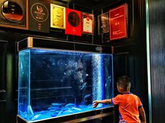 抗浪鱼-翠府(翠湖北路店)