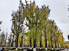 -百林公园-两江幸福广场