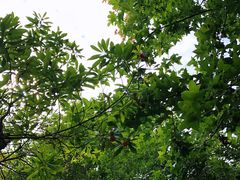 -云和湖仙宫景区