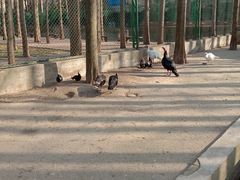 -南京金牛湖风景区