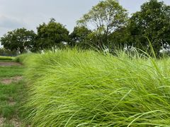 -汉长安城未央宫国家考古遗址公园