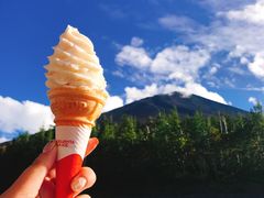 -富士山吉田線五合目