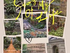 -南宫五洲植物乐园