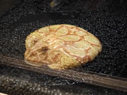 -Zoolung Zoolung动物主题公园(海信广场店)