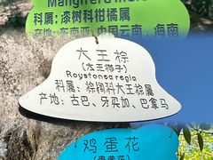-云南勐巴娜西珍奇园