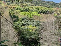 -福清灵石山国家森林公园