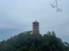 -缙云山景区