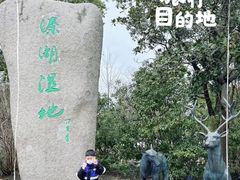 -溱湖国家湿地公园