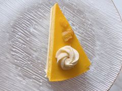 -Husky Go! 哈士奇体验馆·宠物咖啡厅狗咖