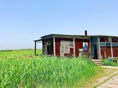 -宁波杭州湾国家湿地公园