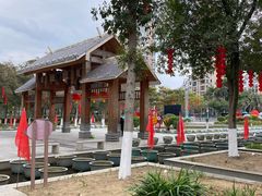 -金山公园