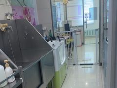 -北京观赏动物医院·24小时大型综合·猫专科·异宠专科