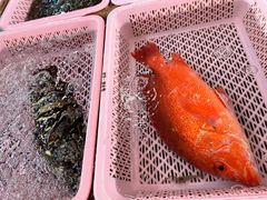 -南沙十九涌渔人码头-南门