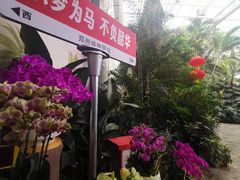 -郑州植物园