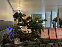 -潮上潮(南中环店)