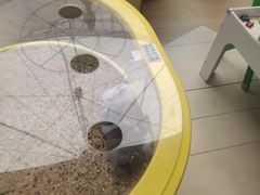 -THE hood开新里(御桥路店)