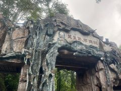 -莫里热带雨林景区