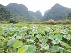 -靖西鹅泉风景区